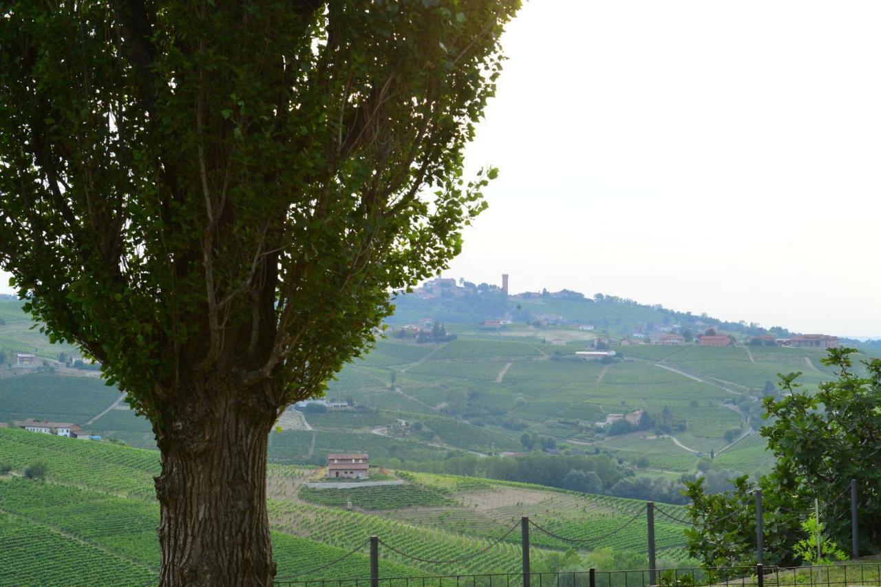 I Grappoli Vila Canelli Exterior foto
